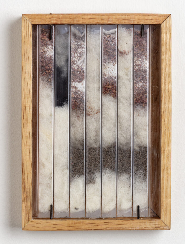Abby Flanagan, tract (woodthrush) 10, 2023, polycarbonate panel, wool, sand, saw dust, charcoal, artist’s oak frame, 5 ¾ x 4 ¼ in.