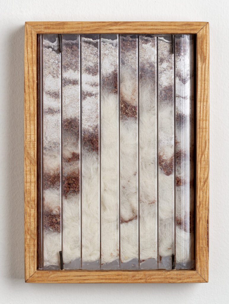 Abby Flanagan, tract (woodthrush) 13, 2023, polycarbonate panel, wool, plaster, saw dust, artist’s oak frame, 5 ¾ x 4 ¼ in.