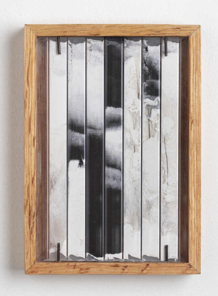 Abby Flanagan, tract (woodthrush) 14, 2023, polycarbonate panel, plaster, charcoal, feathers, artist’s oak frame, 5 ¾ x 4 ¼ in.