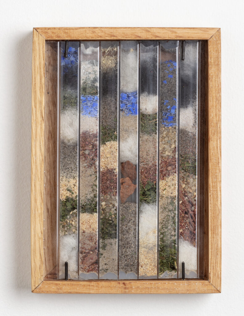 Abby Flanagan, tract (woodthrush) 5, 2023, polycarbonate panel, plaster, charcoal, wool, saw dust, blue pigment on paper, dried maple leaves, artist’s oak frame, 5 ¾ x 4 ¼ in.