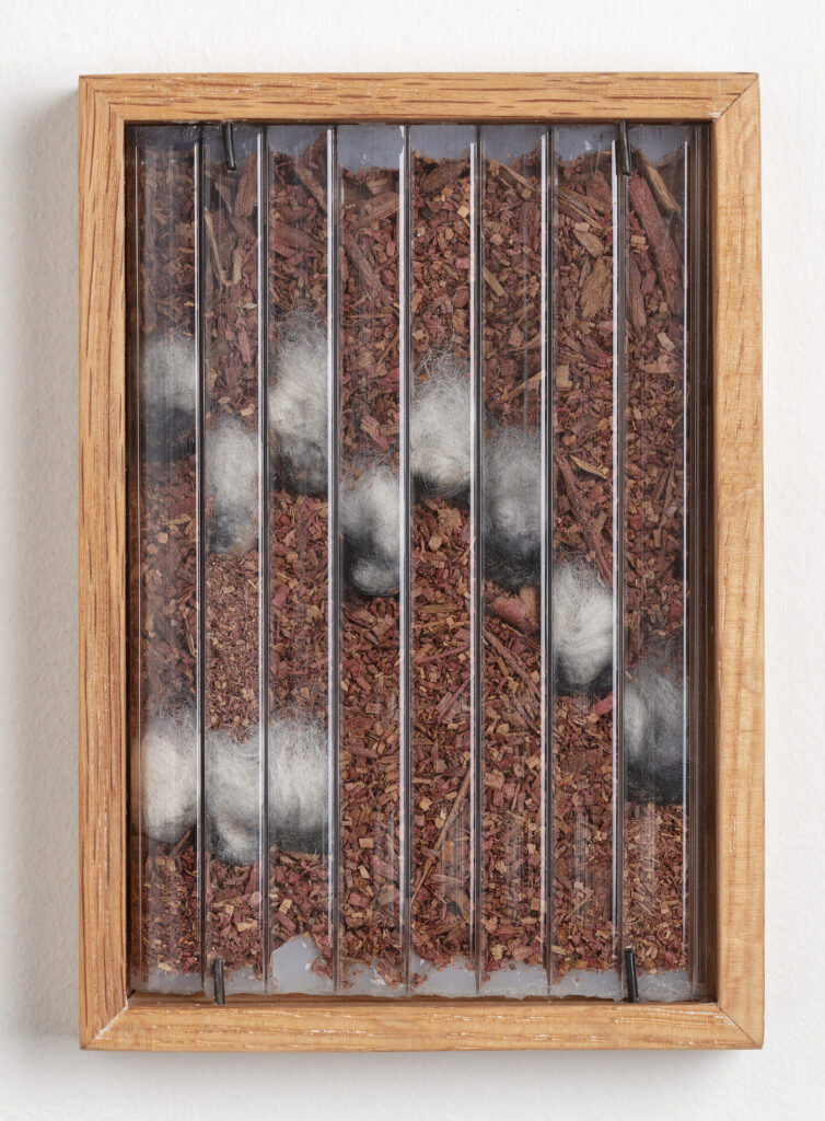 Abby Flanagan, tract (woodthrush) 6, 2023, polycarbonate panel, sawdust, wool, charcoal, artist’s oak frame, 5 ¾ x 4 ¼ in.