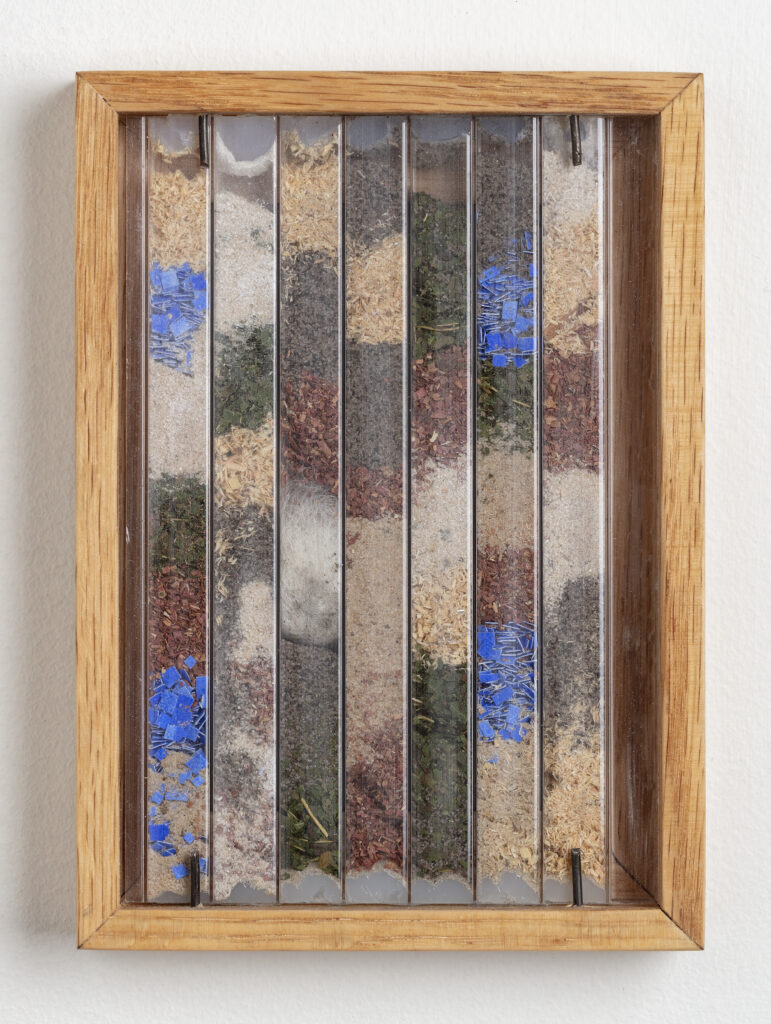 Abby Flanagan, tract (woodthrush) 9, 2023, polycarbonate panel, plaster, charcoal, wool, saw dust, blue pigment on paper, dried maple leaves, artist’s oak frame, 5 ¾ x 4 ¼ in.