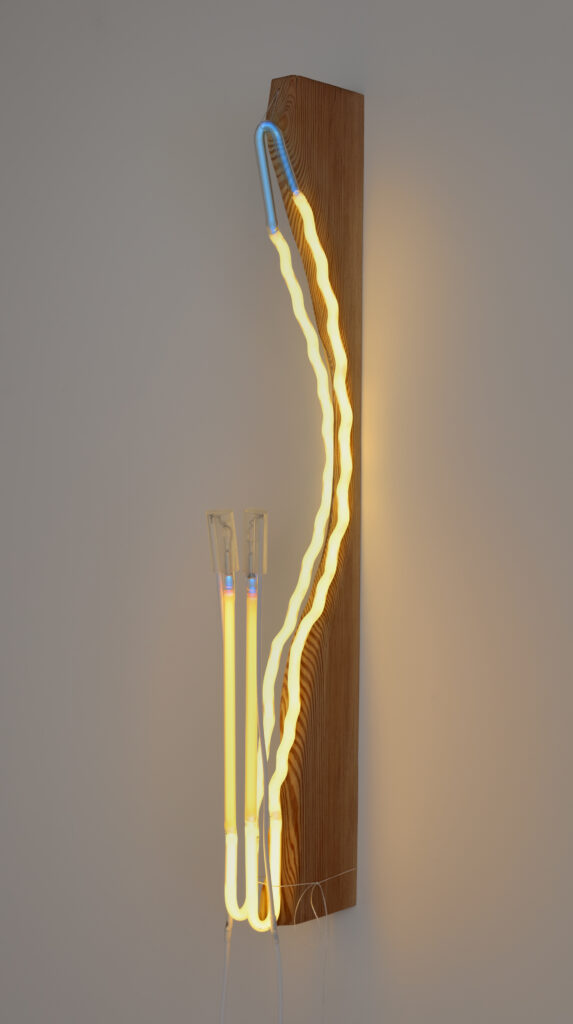 Mariko Makino, Tame, 2023, heart pine, neon tubing, thread, 6 x 2 x 28 in.