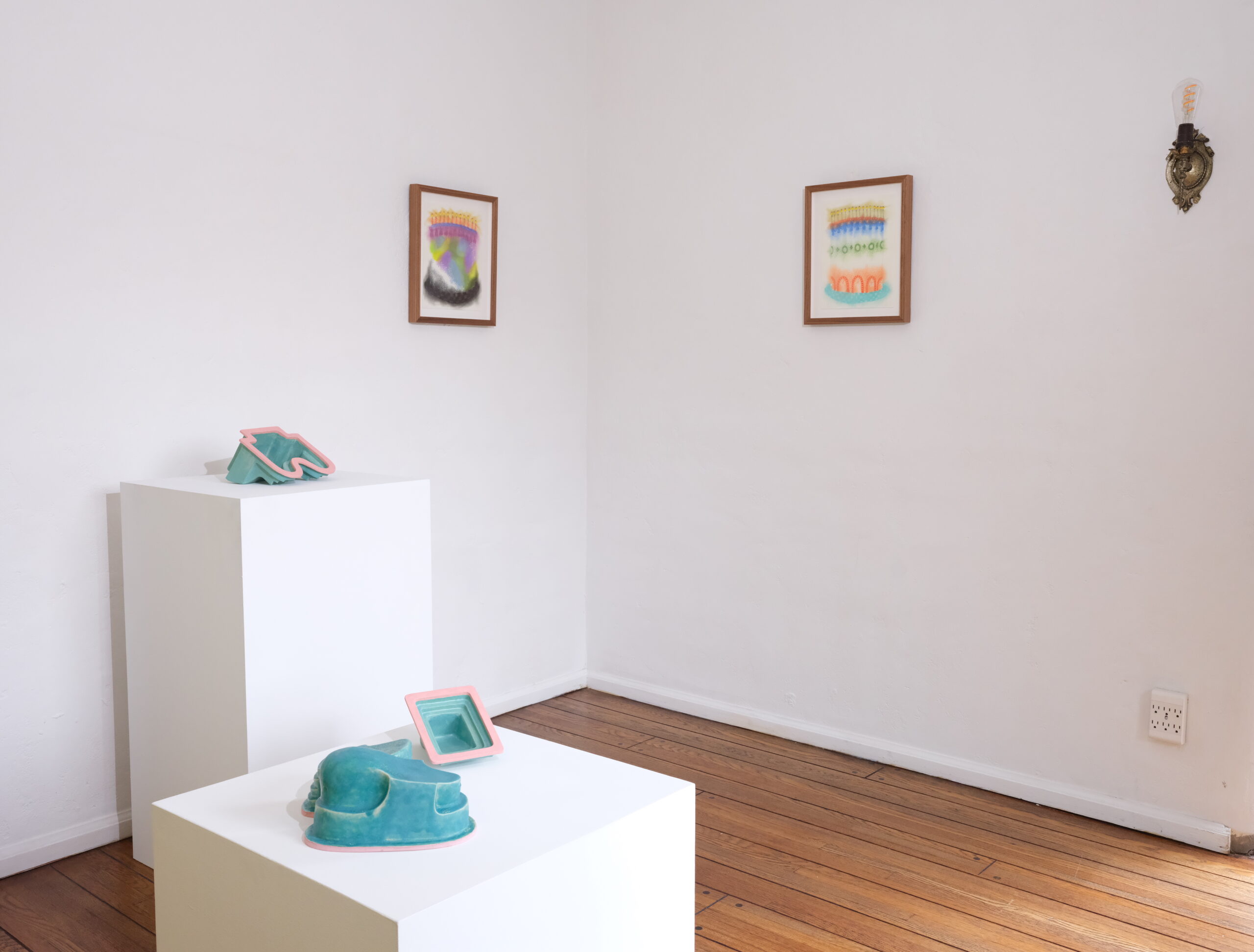 Installation view, Pepper Tree, works by Rocío Olivares and Edwin Arzeta